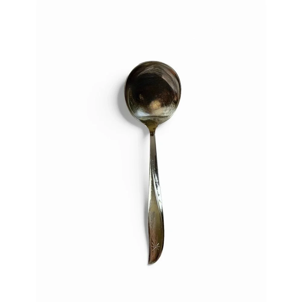 Oneida Community Stainless Twin Star Casserole Gravy Ladle MCM Atomic Burst VTG